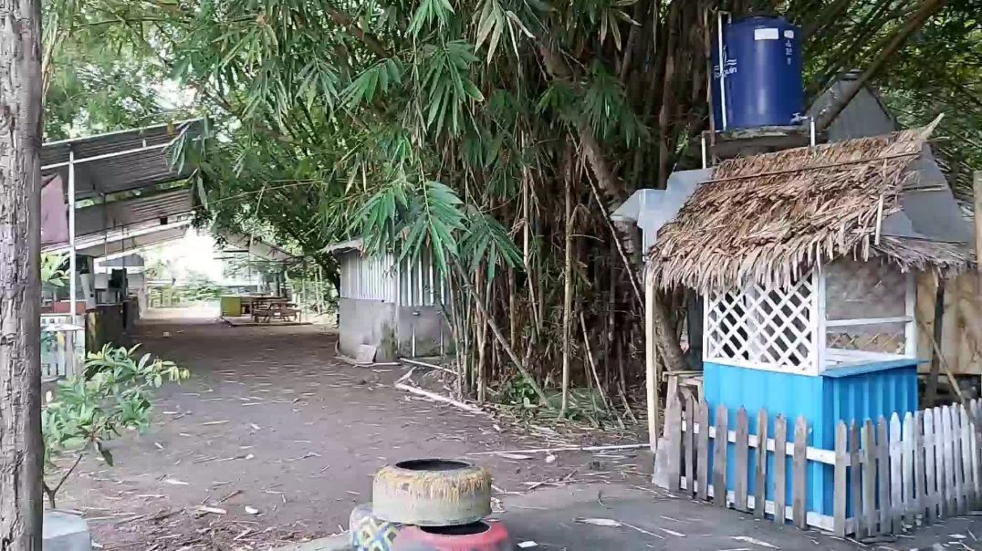 ⁣Opak Setren