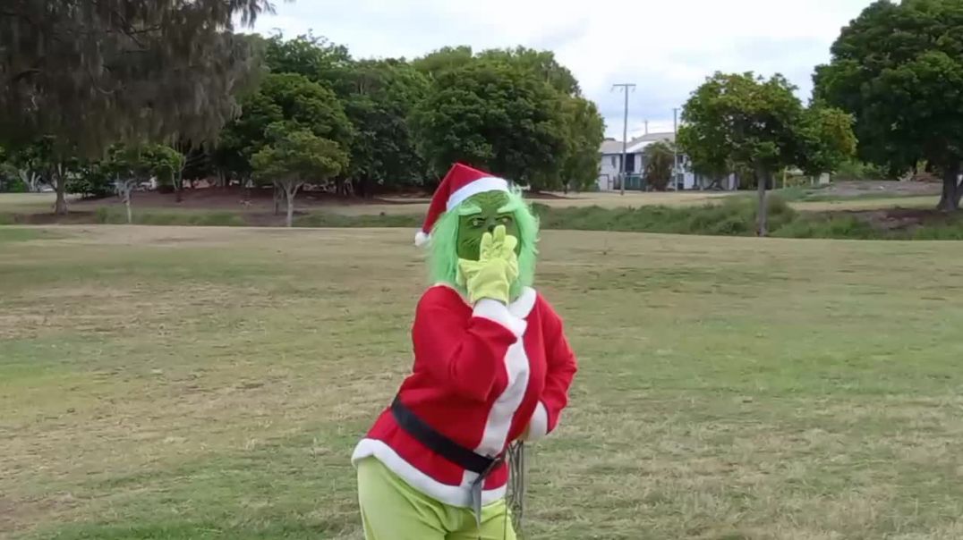 ⁣Funny and Sexy Grinch Bargara