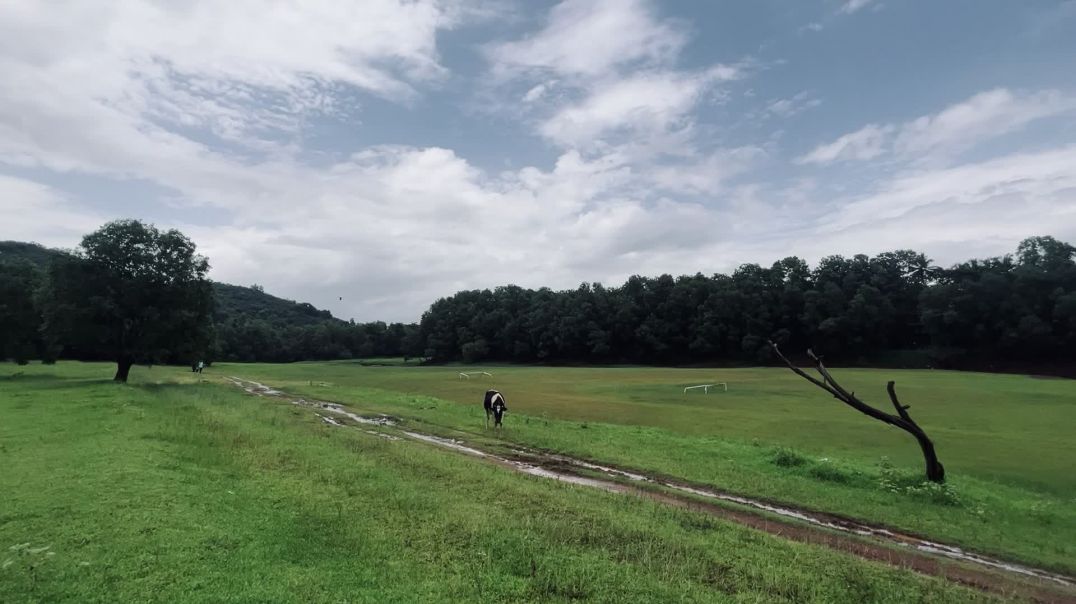 ⁣Hidden place in Padiyoor ,(kerala , Kannur)