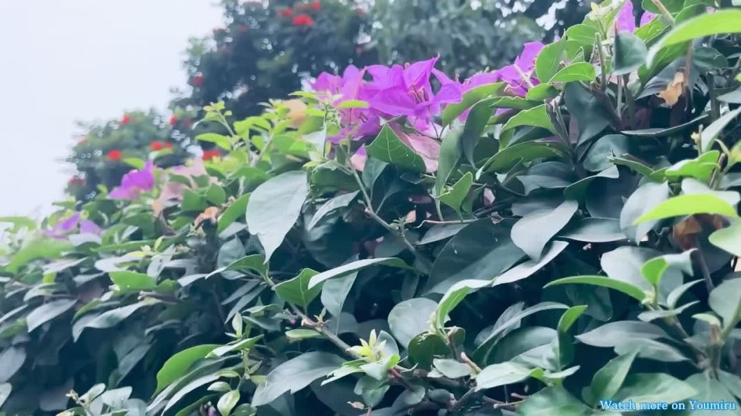 ⁣Way to Forum mall at konanakunte cross  ,Bangalore